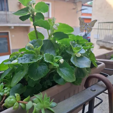 Apartamento Nel Cuore Del Borgo *